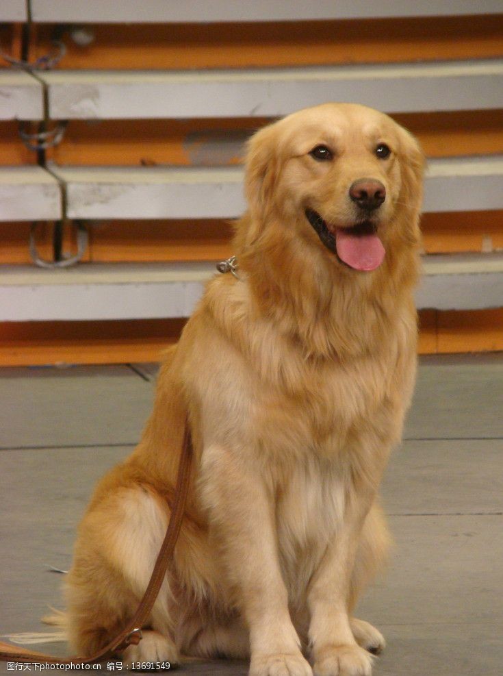 超级乐八点图片素材