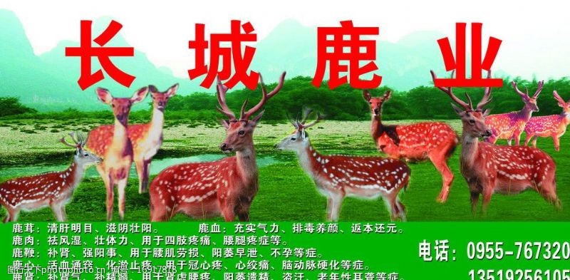 鹿业图片素材