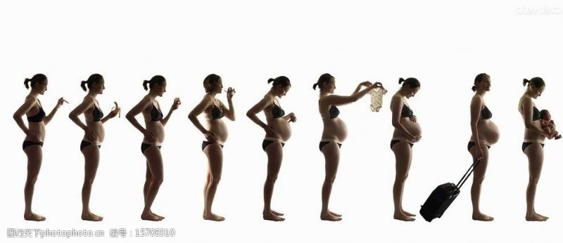 怀孕过程图片素材