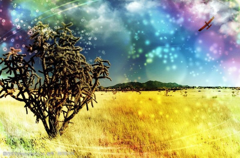 神奇国度图片素材