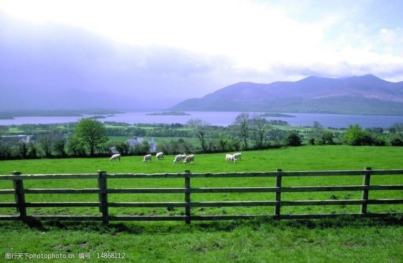 苏格兰牧场图片
