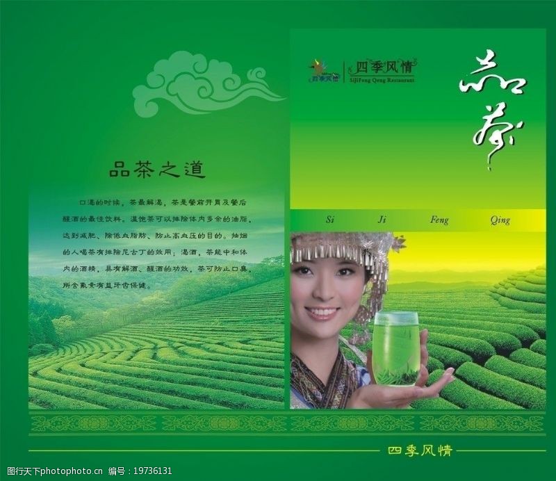 黄山贡菊品茶图片