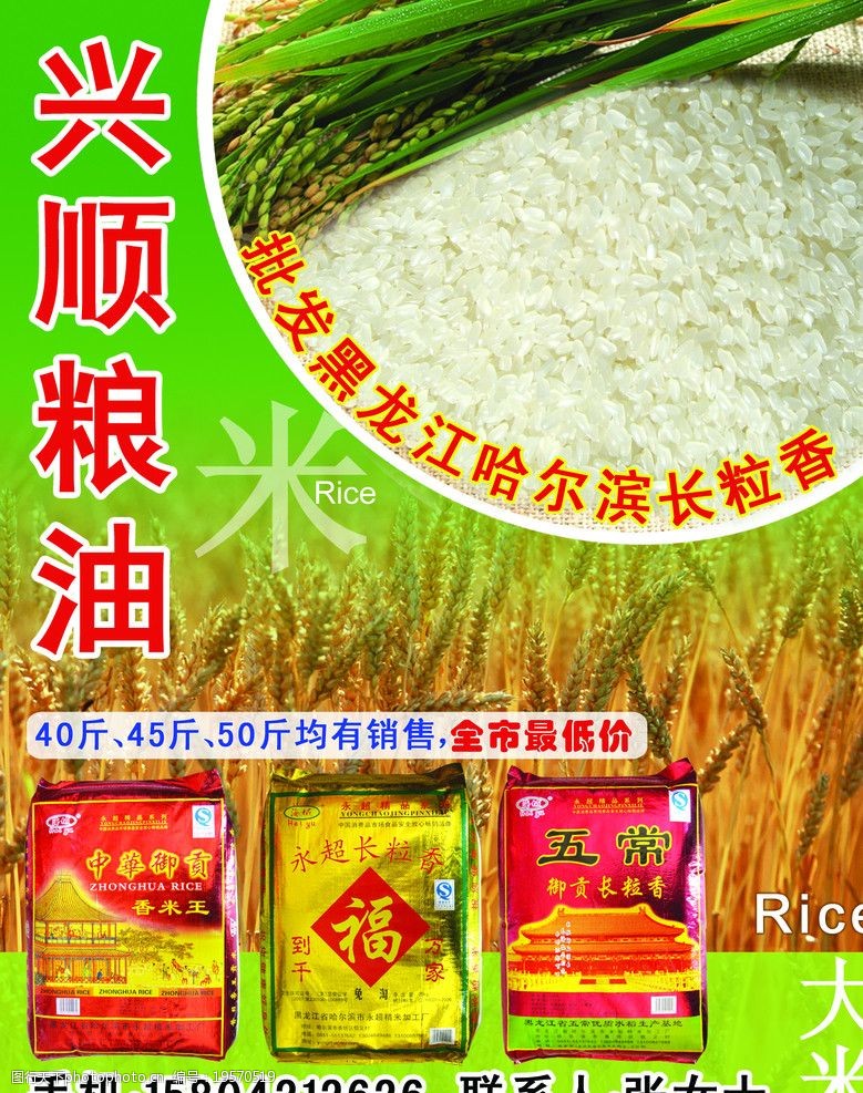 稻米黑龙江大米图片