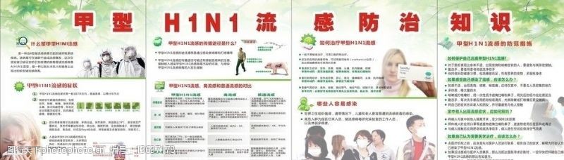 猪流感甲型H1N1流感防治知识图片