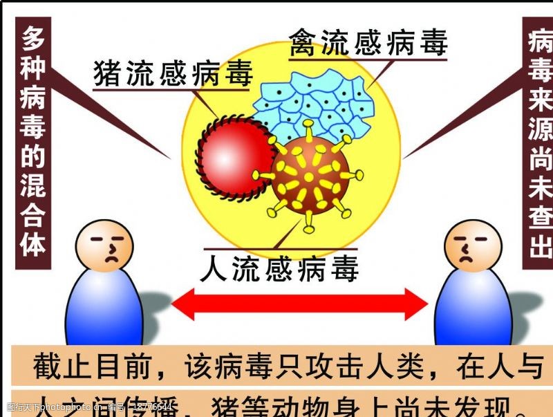猪流感H1N1病毒示意图图片