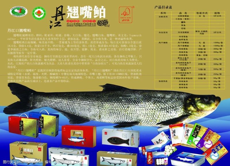 目鱼丹江翘嘴鲌鱼图片