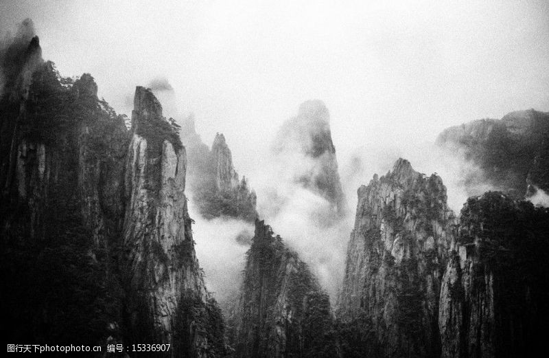 云雾缭绕黄山之黑白画映图片