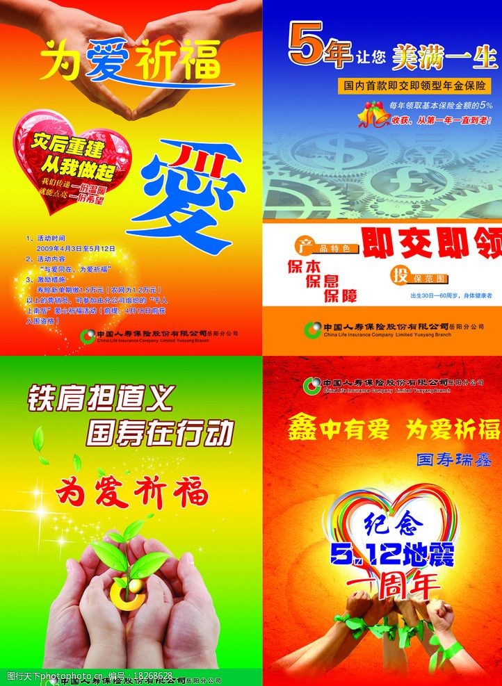 中国人寿保险单页图片