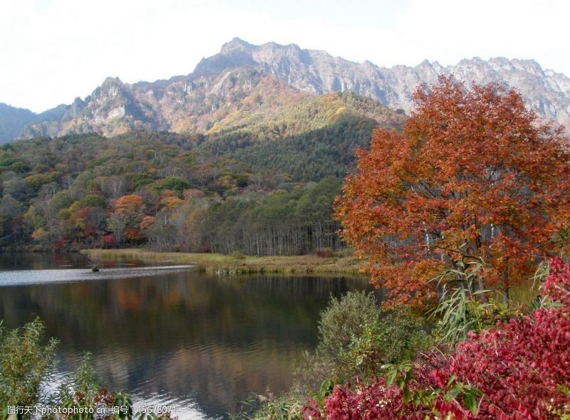 鏡池紅葉图片免费下载 鏡池紅葉素材 鏡池紅葉模板 图行天下素材网