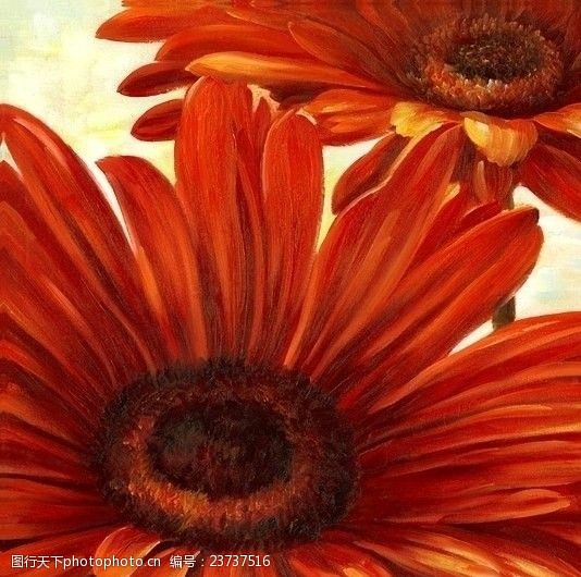 花卉无框画花卉油画551150厘米X50厘米