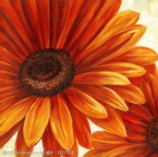 花卉无框画花卉油画551250厘米X50厘米