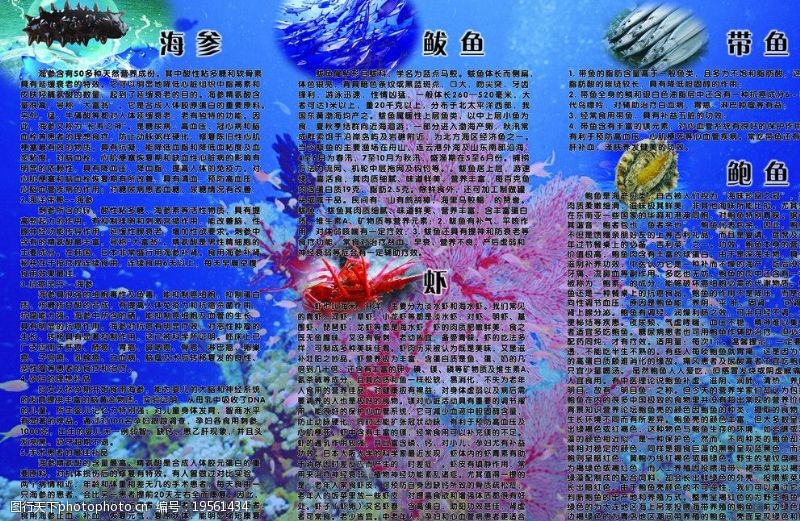 鲅鱼海底图片