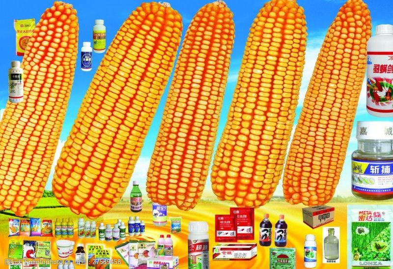 玉米种子化肥农药