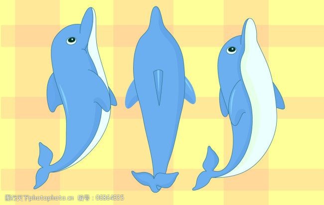 可爱底纹免费下载可爱海豚