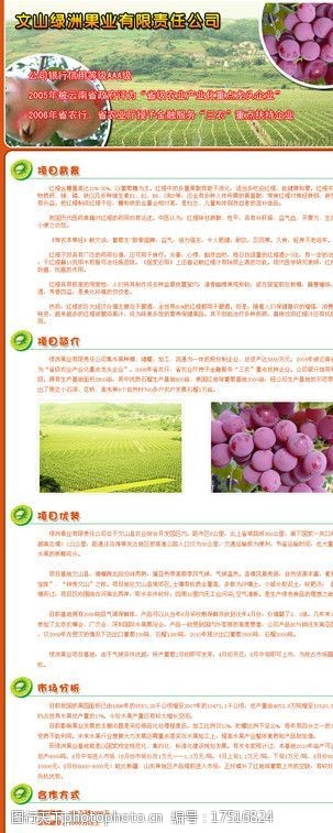 云南旅游网页模版文山绿洲果业图片