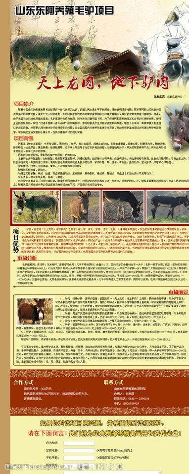 ad毛驴养殖项目图片