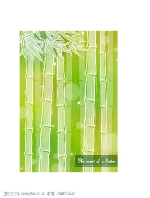 竹子的图案绿色竹子