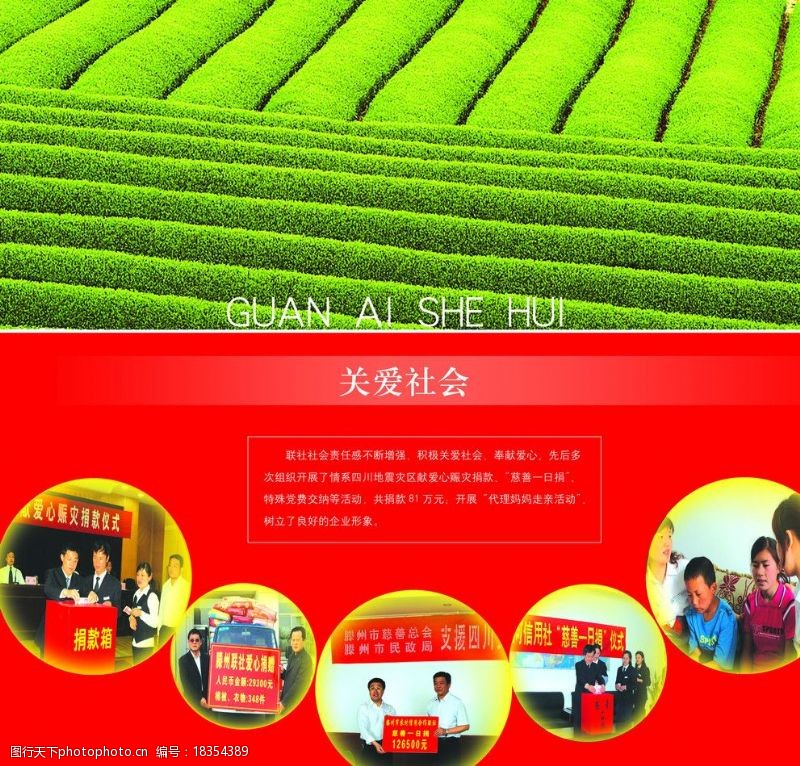 茶庄宣传单农村信用联社图片