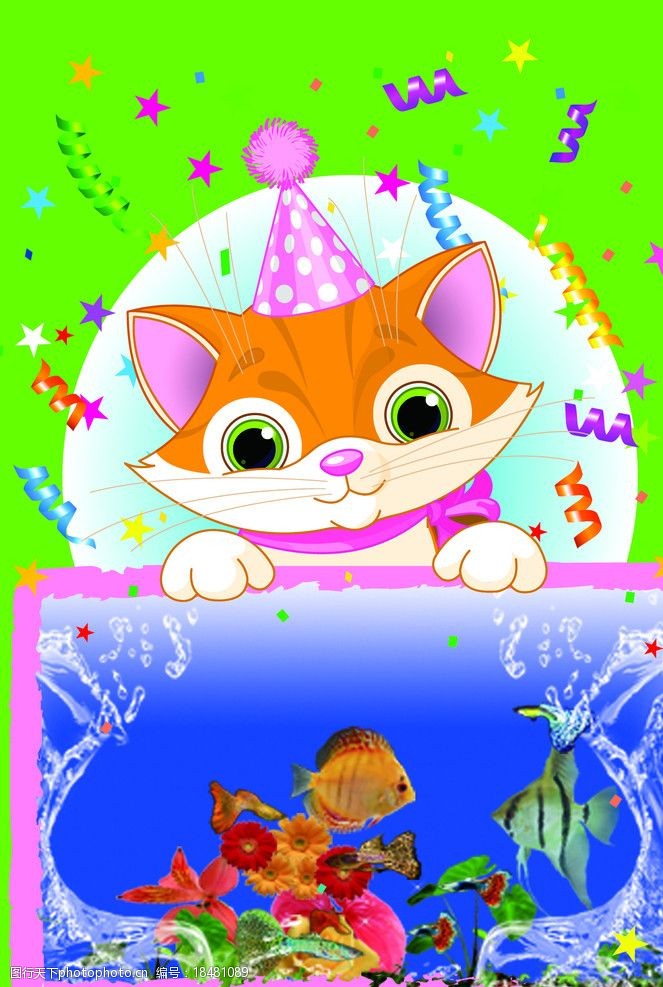 草鱼可爱的猫儿图片