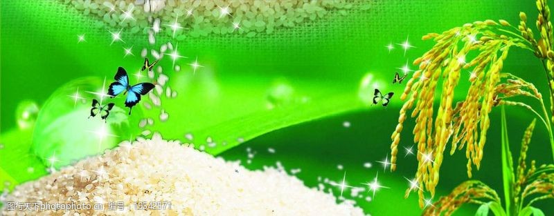 稻米大米广告位图图片