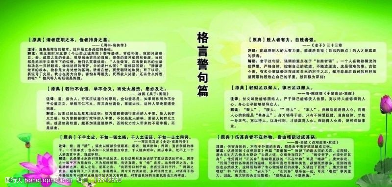 清者自莲格言警句篇图片