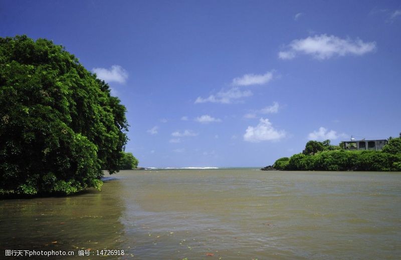 印度洋毛里求斯美丽的海河交界风光图片