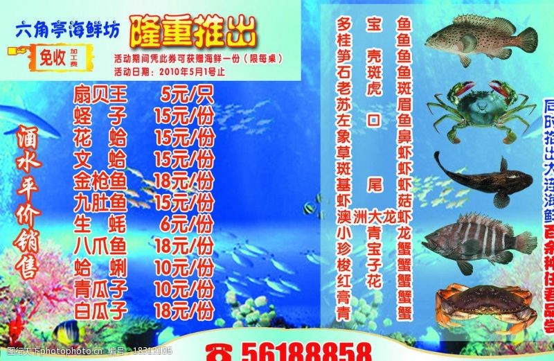 石斑鱼海鲜宣传单图片