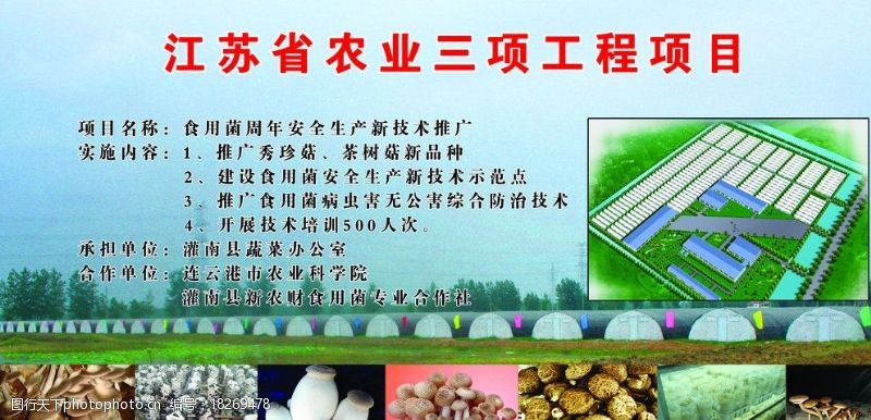 茶农江苏省农业三项工程项目图片