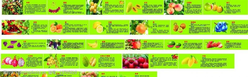 spa水疗各种水果的营养价值及食疗作用10米长图片
