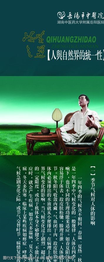 茶画册中医文化图片