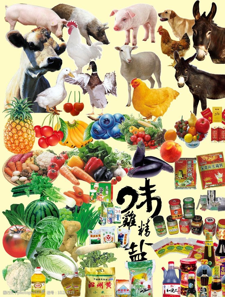 香锅萝卜超市广告素材图片