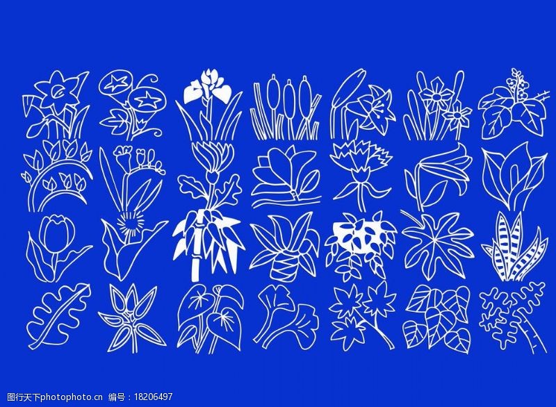 植物蒲公英各种植物简笔画图片