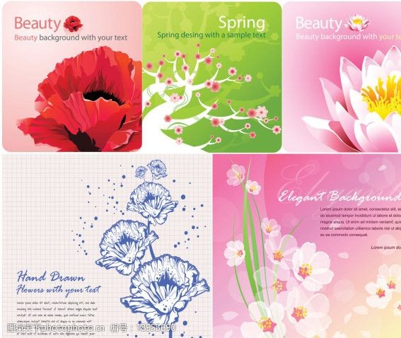 彩莲彩色花朵卡片背景矢量素材图片