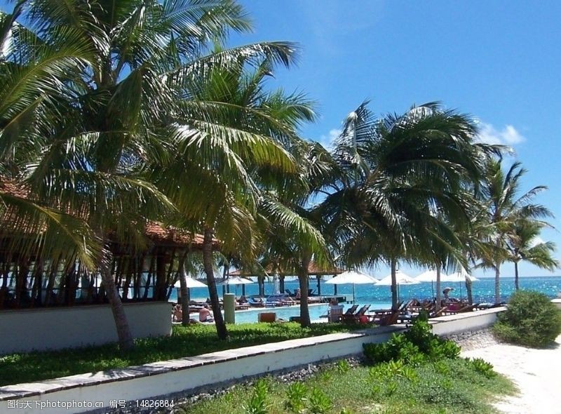 马尔代夫沙滩椰林海滩图片