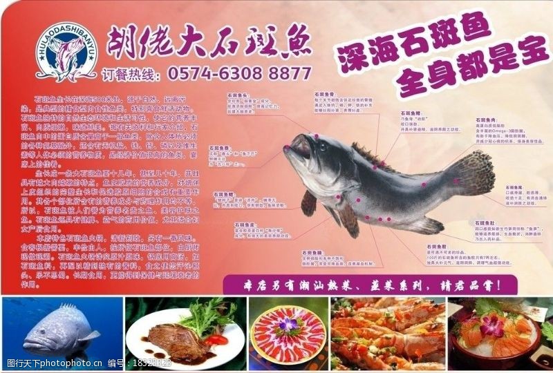 石斑鱼菜谱图片