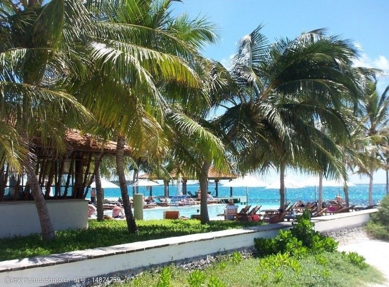 马尔代夫沙滩椰林海滩图片