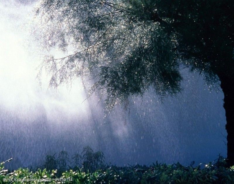 漂亮的雨壁纸图片免费下载 漂亮的雨壁纸素材 漂亮的雨壁纸模板 图行天下素材网