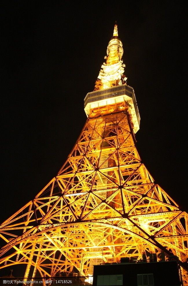 樱花之旅东京东京塔夜景图片