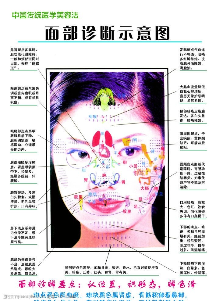 面部诊断图图片