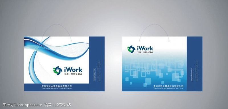 天津东软金算盘软件手提袋设计图片