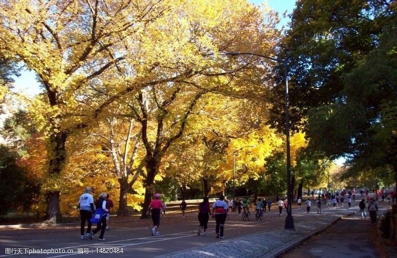 风景宜人纽约秋季的中央公园图片