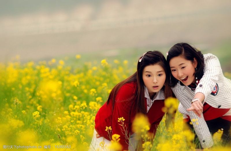 春天的风景油菜花中的少女图片