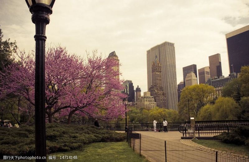 小矮楼纽约美丽的中央公园图片