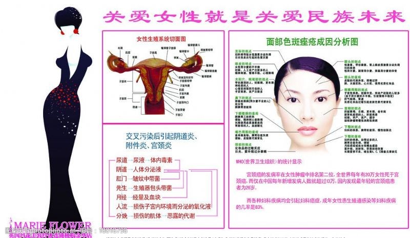 生殖系统图关爱女性女性生殖系统脸图片