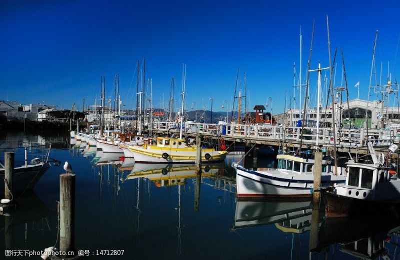 船只旧金山游艇码头景色图片