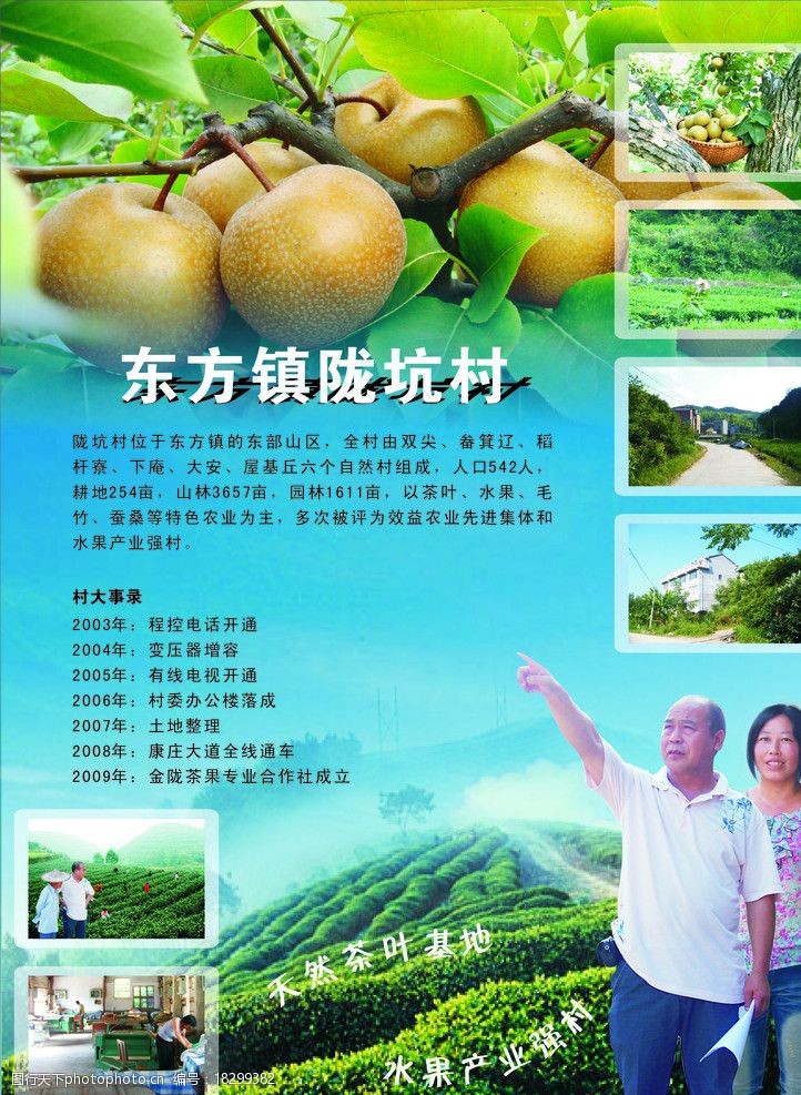 茶农农村宣传单图片