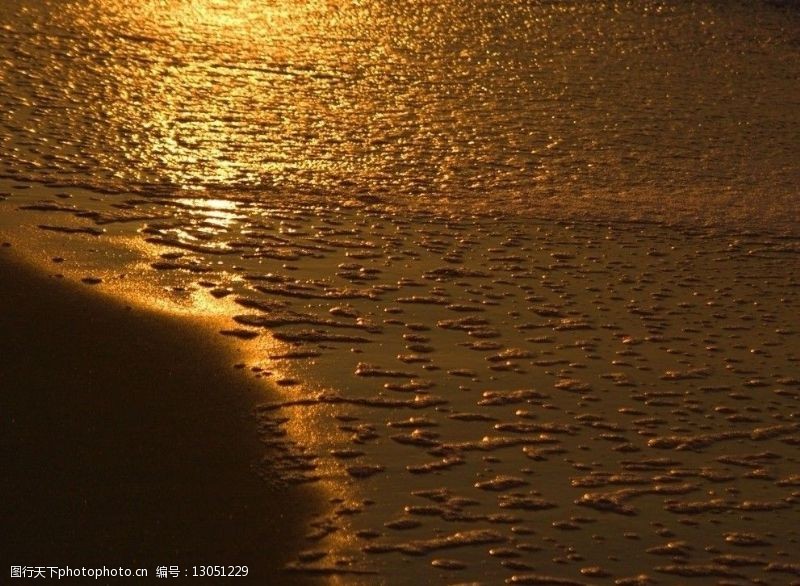 金色沙滩洒满金光的海滩图片