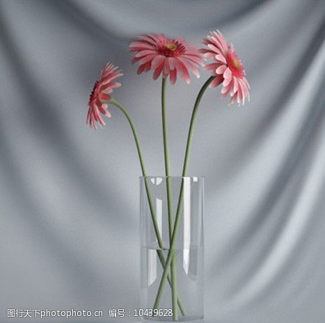 3d设计源文件3D精美花瓶花朵模型图片