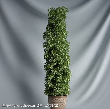 3d设计源文件盆栽植物3D模型图片