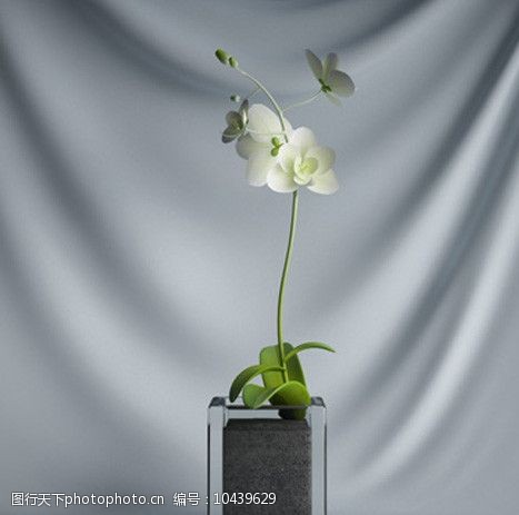 3d设计源文件室内装饰花卉模型图片